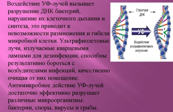 ТОП-10 лучших ультрафиолетовых ламп, как выбрать рециркулятор для дома