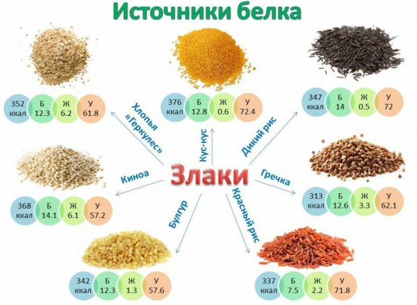 Топ-10 природных жиросжигателей